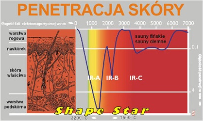 bienia